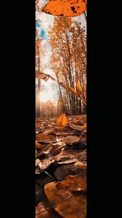 fall days 