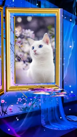 Photo album