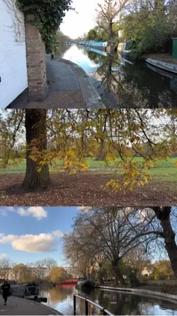 3 video reels