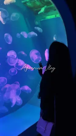 Aquarium Vlog 