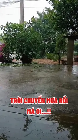 Ước áo Mẹ tôi