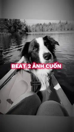 BEAT 2 ảnh cuốn 