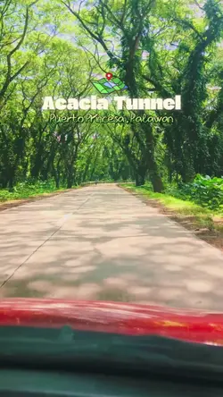 Acacia Tunnel