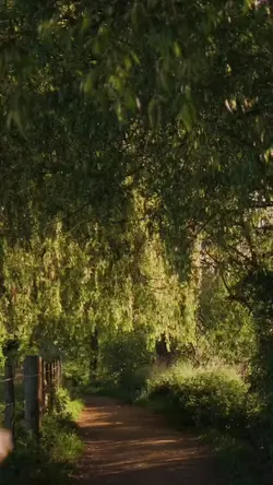 Village vlog