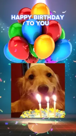 HBD TO YOU