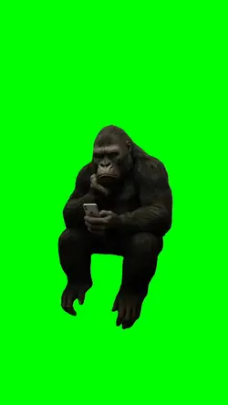 UPSET GORILLA
