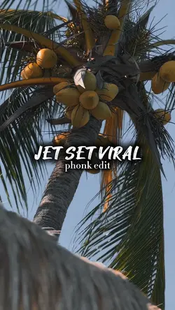 AESTHETIC JET SET