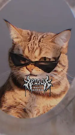 Pimp 2รูป