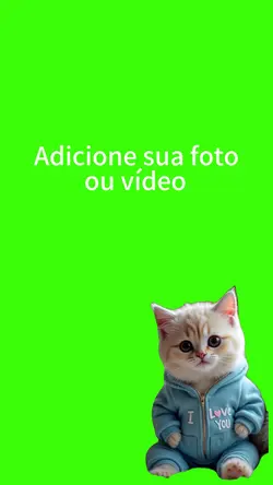 Gatinho fofinho.