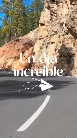 Viaje al bosque