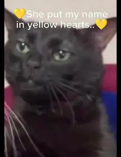 yellow hearts