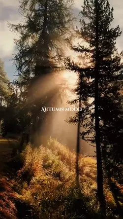 autumn mood