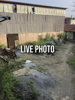 16 ảnh