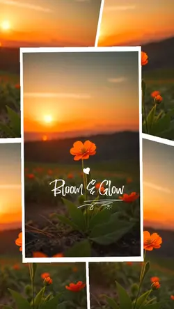 Bloom & Glow 