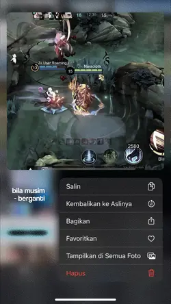 only gameplay/dll