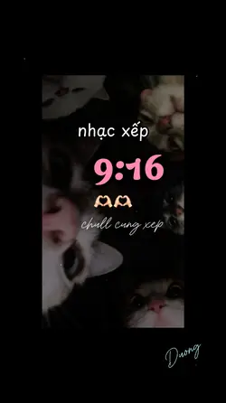 mẫu 2 ảnh 
