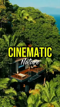 Cinematic