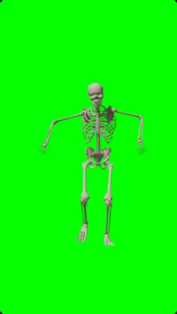Funny greenscreen 