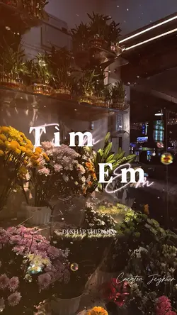 Tìm Em