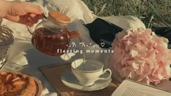 FLEETING MOMENTS