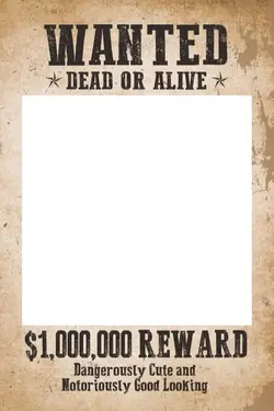 Wanted person 