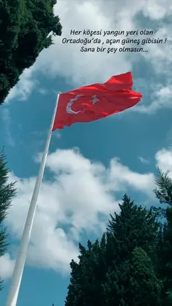 Bayrak aşkı