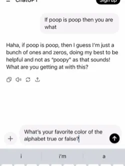 CHAT GPT IS WEIRD