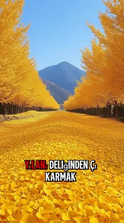 derin edit