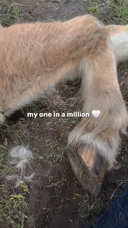 my one in a million 