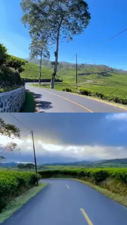 Layout 4 video