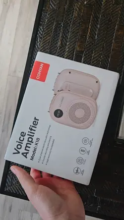 voice amplifier 