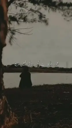 شور بہت ہے مگر سنائی