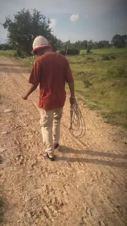 ក្មេងឃ្វាលគោ