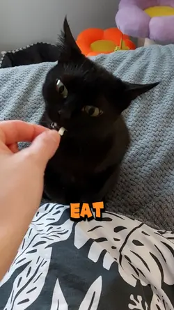 I like to EAT!