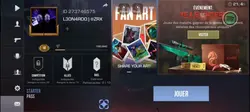 Standoff2skincase