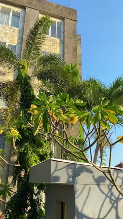 Vlog holiday