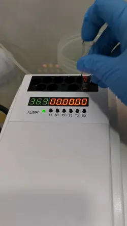 Science Experiment 