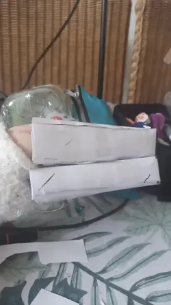 papier dragon 