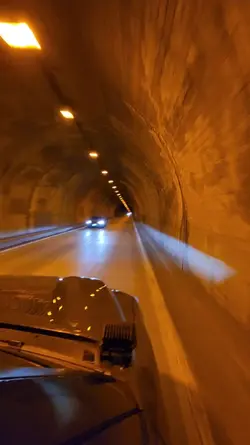 Speed
