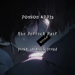 the perfect pair