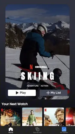 Netflix poster