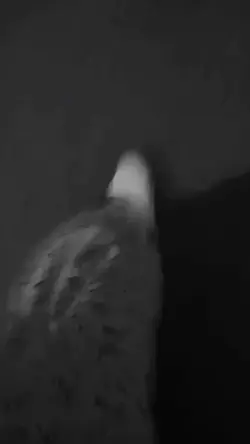 ইয়া রব