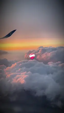 Video souvenir 