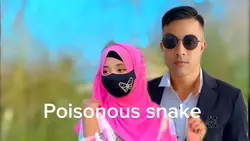 বিষাক্ত সাপ ও এতো 