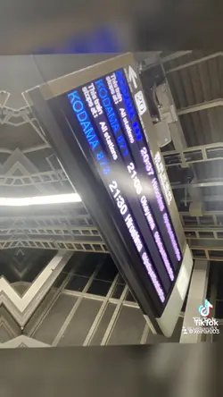 魅力的女