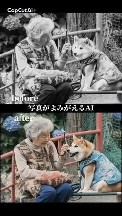 写真がよみがえるテンプレート