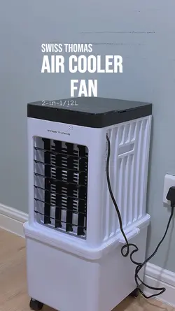 Air cooler fan