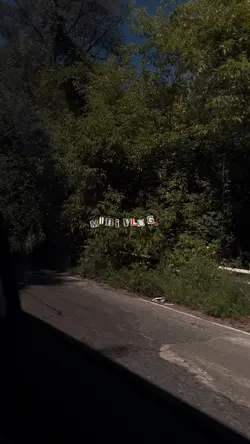 mini vlog 