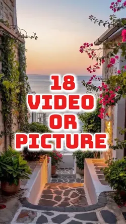 18 video or picture 