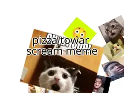 TIK TOK TRENDNG